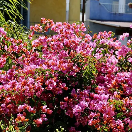 Bougainville 4* Lipari (Isola Lipari)